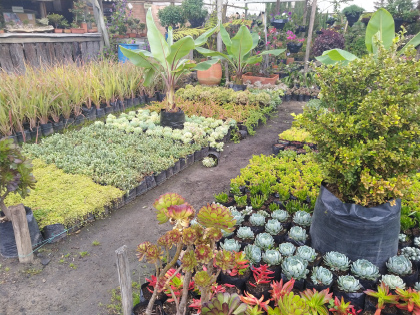 Imagen de reciclaje 2