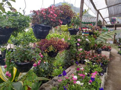 Imagen de reciclaje 7