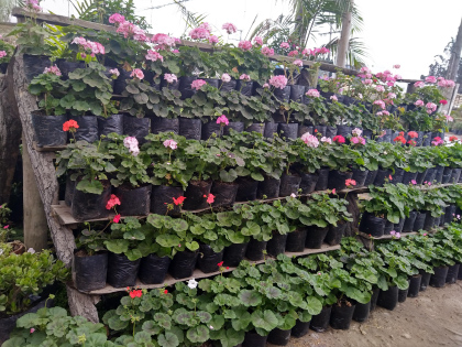 Imagen de reciclaje 8